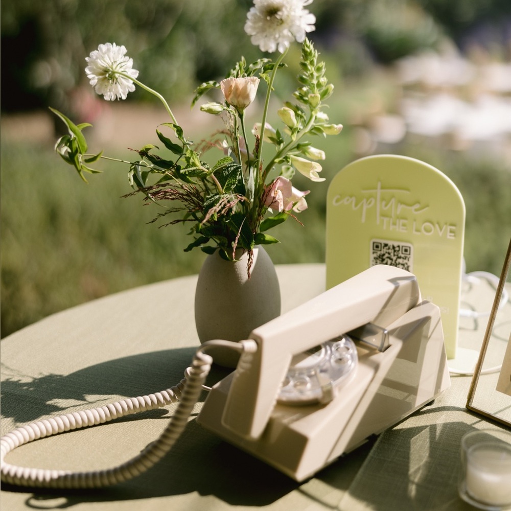 Fetefone Audio Guest Book - the groove rotary in bone